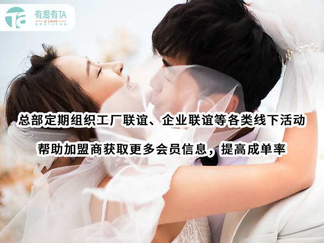 宜宾婚介公司一年赚多少
